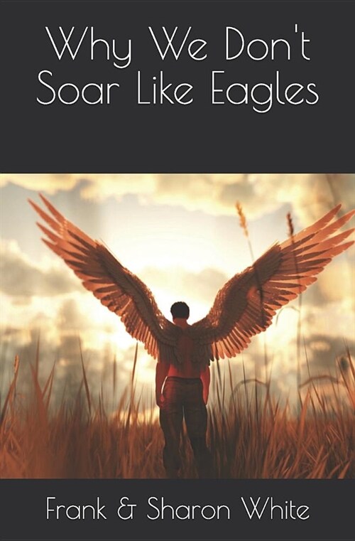 Why We Dont Soar Like Eagles: Paperback (Black & White) (Paperback)