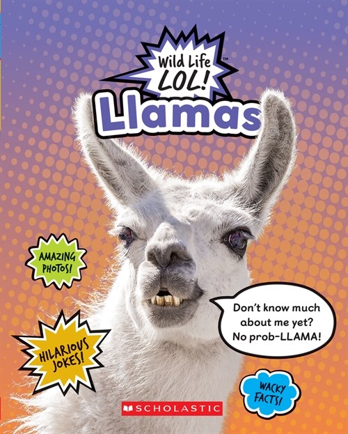 Llamas (Wild Life Lol!) (Hardcover)