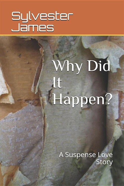 Why Did It Happen?: A Suspense Love Story (Paperback)