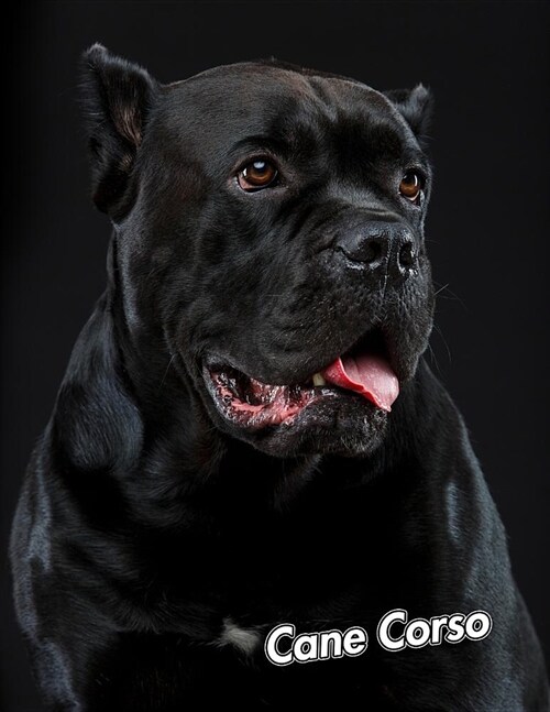 Cane Corso: 2020 Weekly Calendar 12 Months 107 pages 8.5 x 11 in. Planner Diary Organizer Agenda Appointment Half Spread Wide Rule (Paperback)