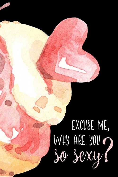 Excuse Me, Why Are You So Sexy?: 6x9 Matte Paperback Blank College-Ruled Lined Notebook Journal Diary 120 Pages (60 Sheets) Novelty Gift (Paperback)