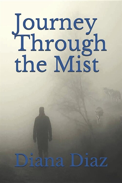 Journey Through the Mist (Paperback)