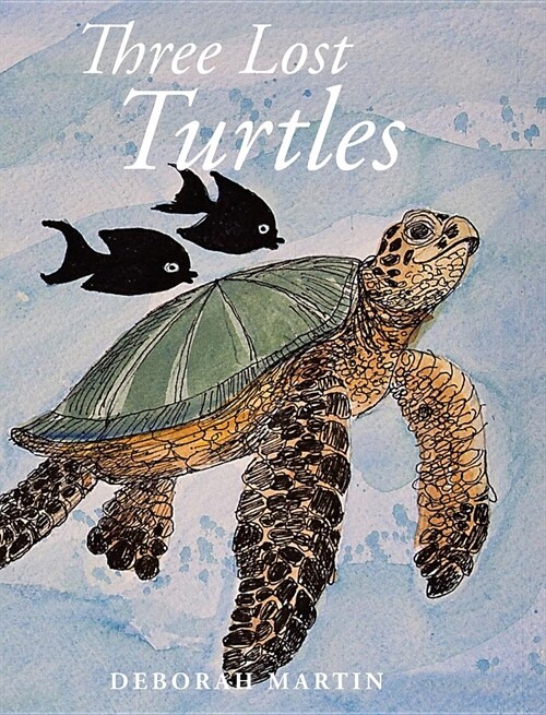 Three Lost Turtles (Hardcover)