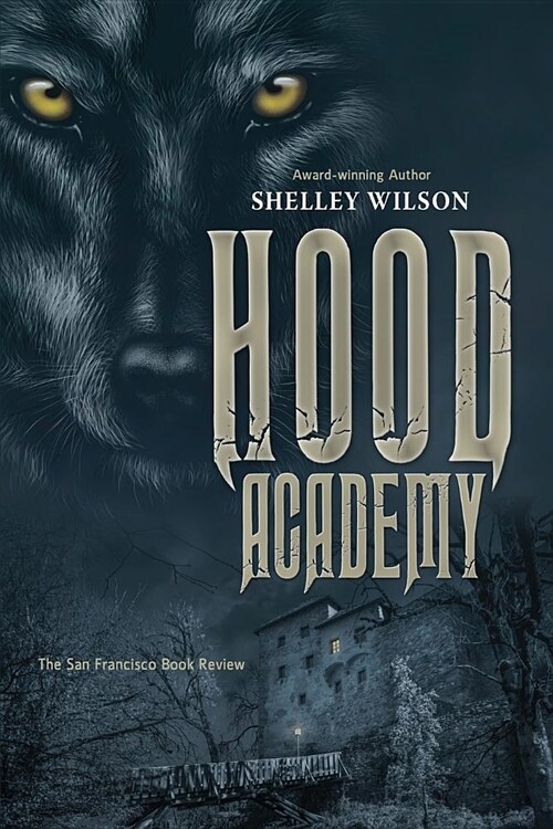 Hood Academy (Paperback)