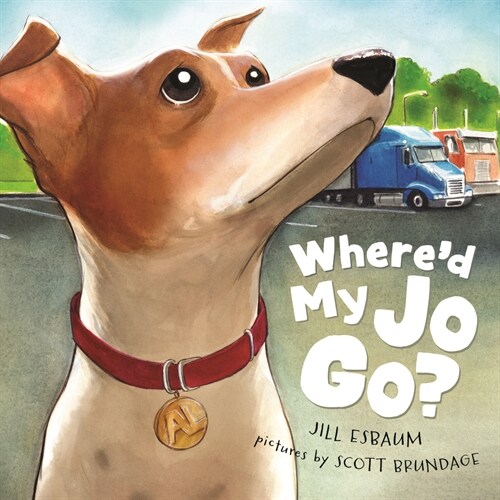 Whered My Jo Go? (Hardcover)