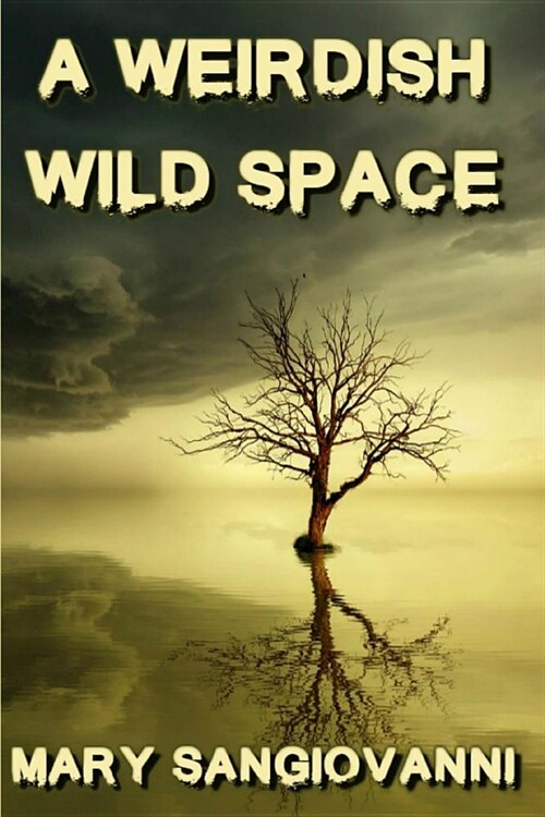 A Weirdish Wild Space (Paperback)