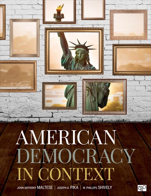 American Democracy in Context (Paperback)