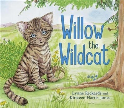 Willow the Wildcat (Paperback)