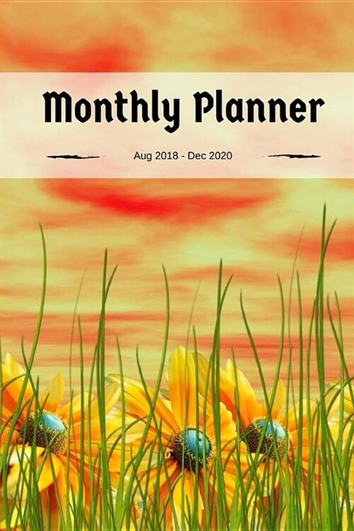 Monthly Planner 2018-2020: Monthly Planner August 2018 through December 2020, 6 x 9 Smart Book (Paperback)