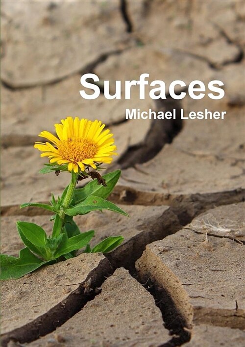 Surfaces (Paperback)