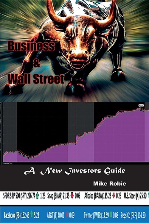 Business & Wall Street: A New Investors Guide (Paperback)