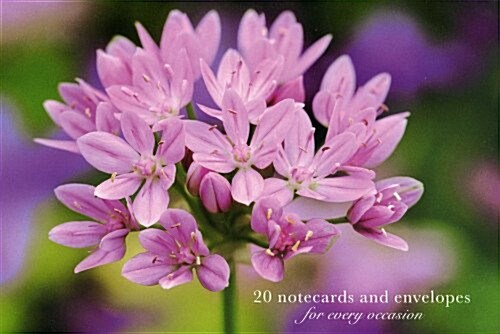 Card Box of 20 Notecards and Envelopes: Allium (Cards)