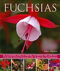 Fuchsias : an Illustrated Guide to Varieties, Cultivation and Care, with Step-by-step Instructions and More Than 130 Beautiful Photographs (Paperback)