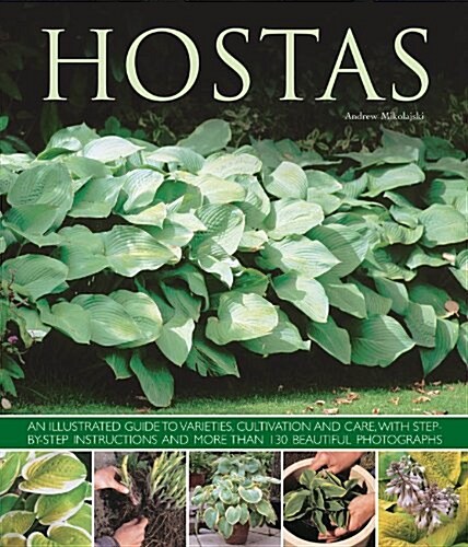 Hostas : an Illustrated Guide to Varieties, Cultivation and Care, with Step-by-step Instructions and More Than 130 Beautiful Photographs (Paperback)