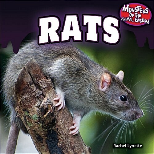 Rats (Paperback)