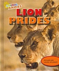 Lion Prides (Library Binding)