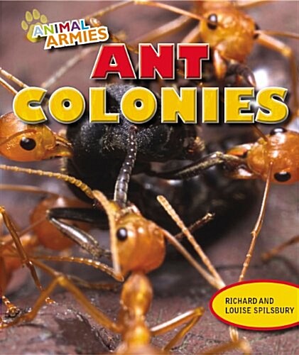 Ant Colonies (Paperback)