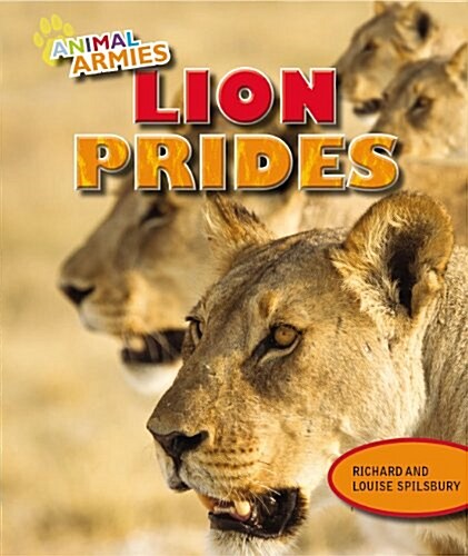 Lion Prides (Paperback)