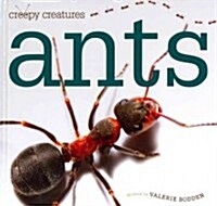 Ants (Library Binding)