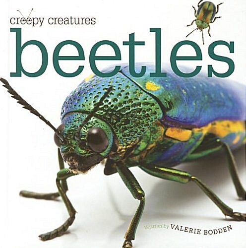 Beetles (Hardcover)