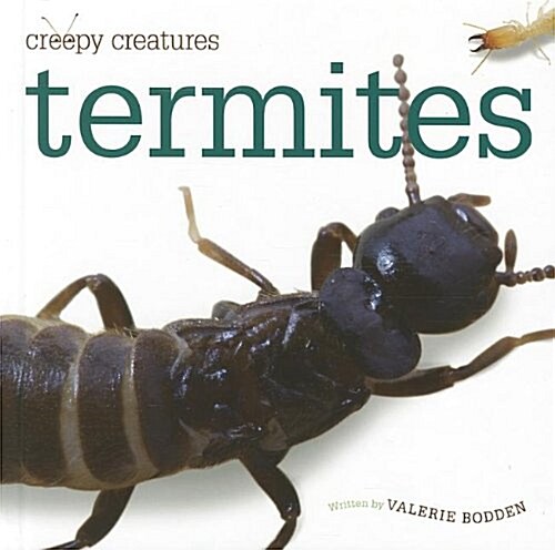 Termites (Hardcover)
