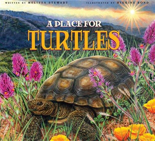 A Place for Turtles (Hardcover)