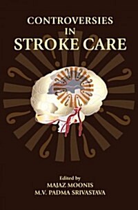 Controversies in Stroke Care (Hardcover)