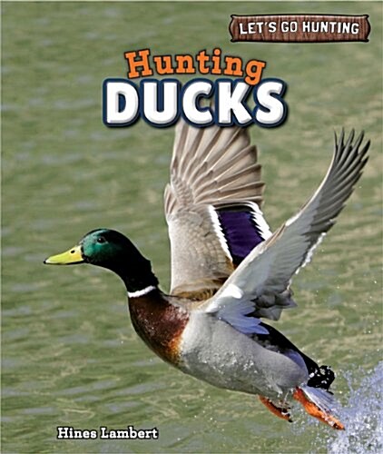 Hunting Ducks (Paperback)