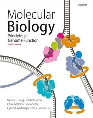 Molecular Biology : Principles of Genome Function (Paperback, 3 Revised edition)