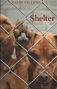 Shelter (Paperback)