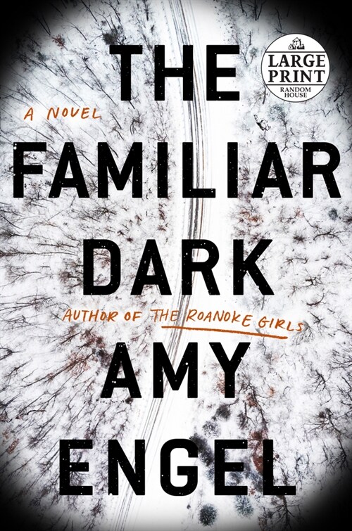 The Familiar Dark (Paperback, Large Print)