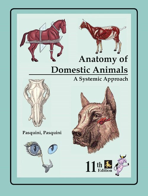 Anatomy of Domestic Animals: Systemic and Regional Approach (Paperback, 11)