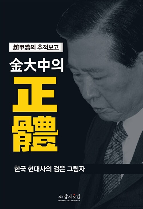 김대중의 정체