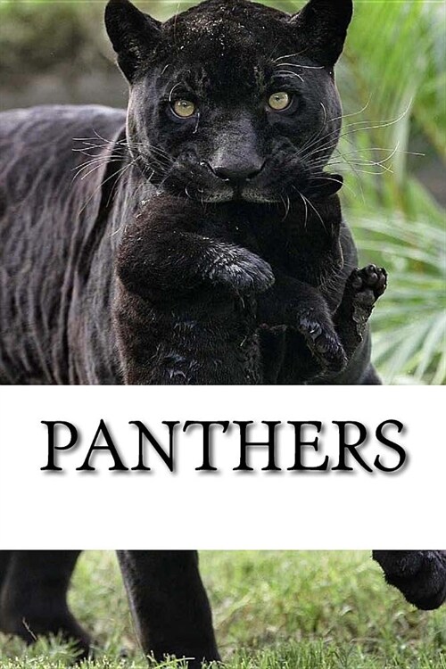 Panthers (Paperback)