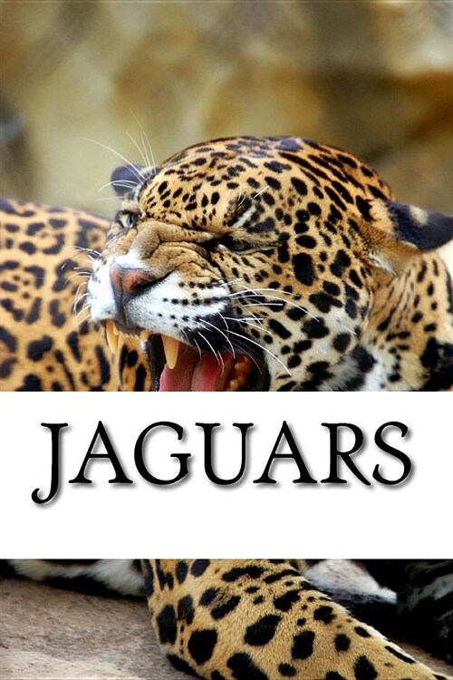 Jaguar Journal (Paperback)