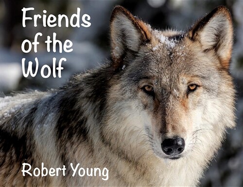 Friends of the Wolf (Paperback)
