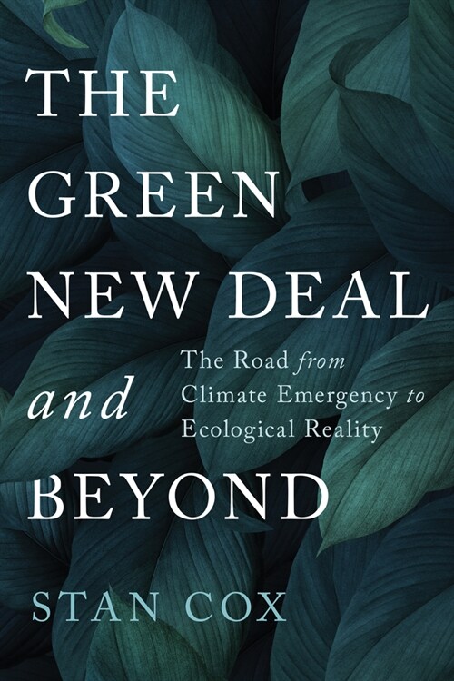 The Green New Deal and Beyond: Ending the Climate Emergency While We Still Can (Paperback)