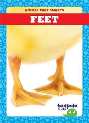 Feet (Paperback)