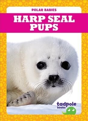 Harp Seal Pups (Paperback)