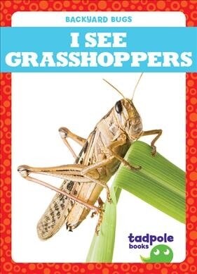 I See Grasshoppers (Paperback)