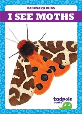 I See Moths (Paperback)