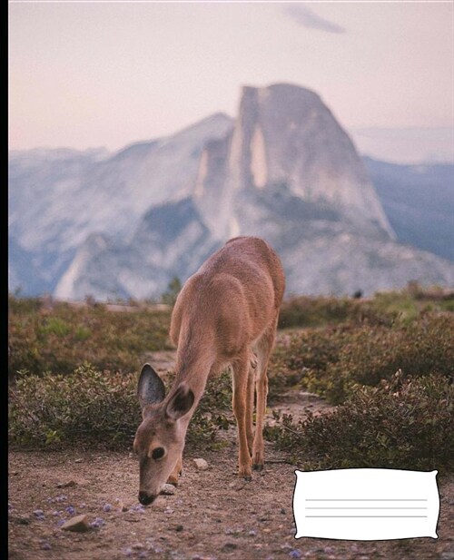 Deer Grazing in Yosemite: Composition Book, 7.5x9.25, 132 Pages (66 Sheets), College Ruled, Deer Grazing with Mountain in Background Journal (Paperback)