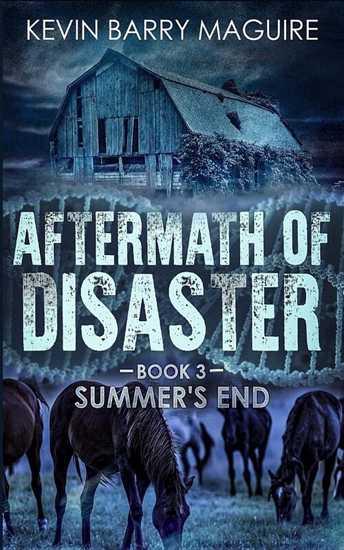 Aftermath of Disaster: Book 3 Summers End (Paperback)