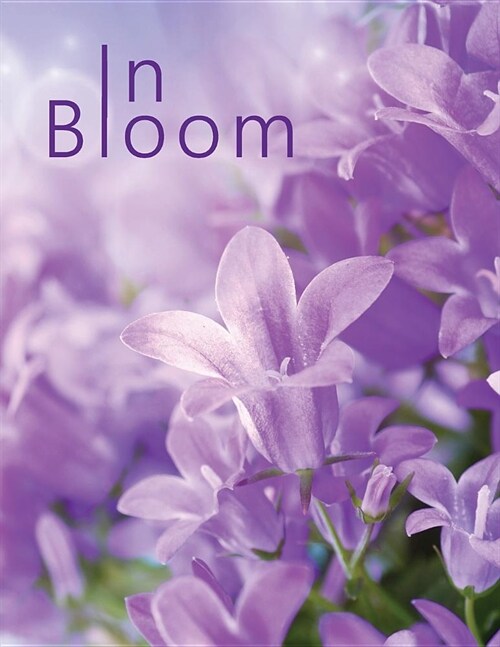 In Bloom: Large print password book with phone numbers, birthdays and other information to keep everything in one place Flower D (Paperback)