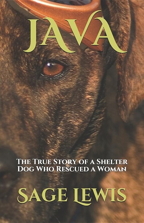 Java: The True Story of a Shelter Dog Who Rescued a Woman (Paperback)