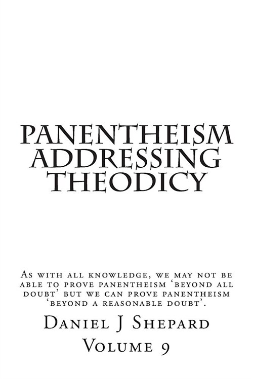 Panentheism Addressing Theodicy (Paperback)