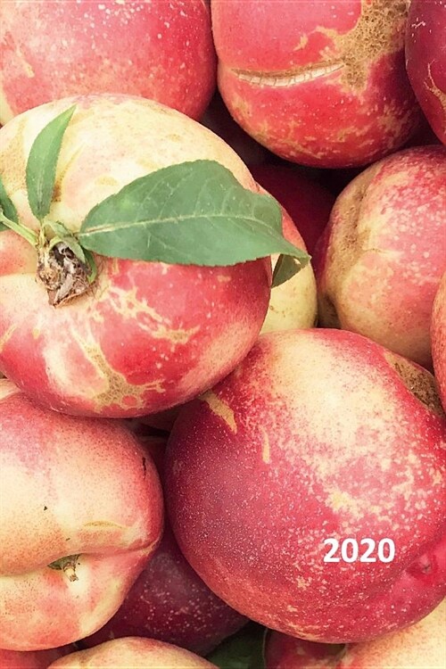 2020: Growing apple trees from seed Practical Planner Calendar Organizer Daily Weekly Monthly Student for notes on planning (Paperback)