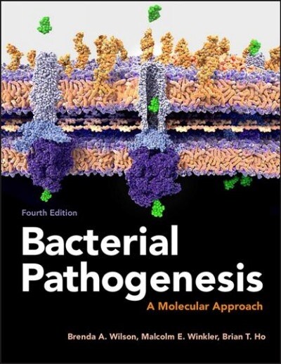 Bacterial Pathogenesis: A Molecular Approach (Paperback)