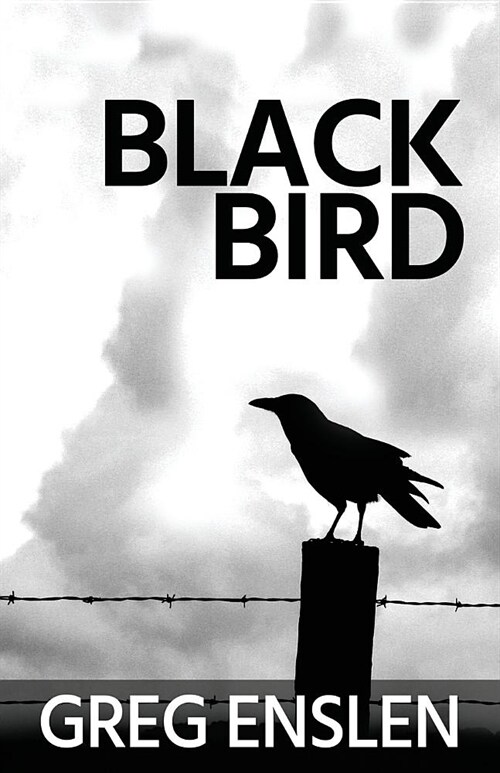 Black Bird (Paperback)