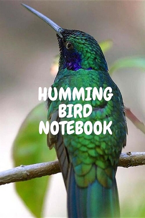 Humming Bird Notebook (Paperback)